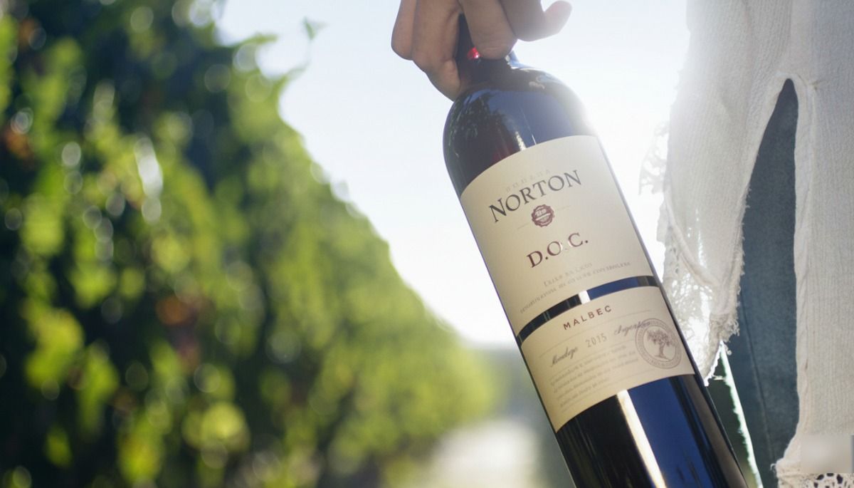 La Justicia abrió el concurso de Bodega Norton. La Justicia abrió el concurso de Bodega Norton. 