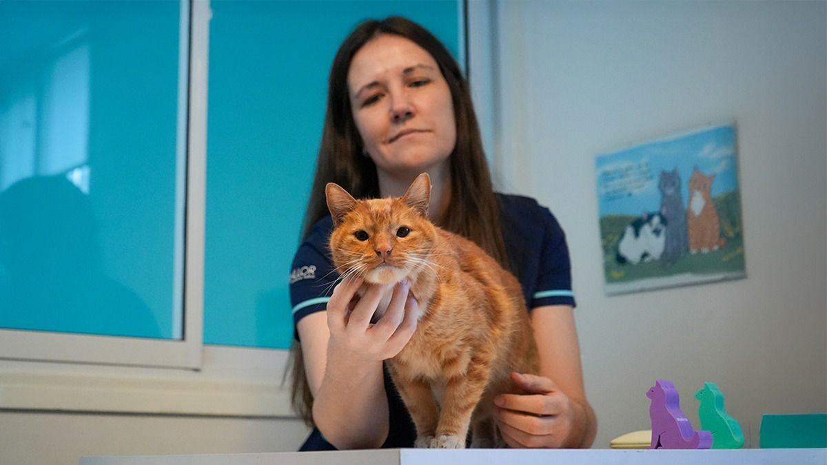 Luciana Monllor estudió veterinaria en Río Cuarto, Córdoba, y trabajó con felinos en Buenos Aires y México, hasta que hizo la especialización en Rosario. Luciana Monllor estudió veterinaria en Río Cuarto, Córdoba, y trabajó con felinos en Buenos Aires y México, hasta que hizo la especialización en Rosario.