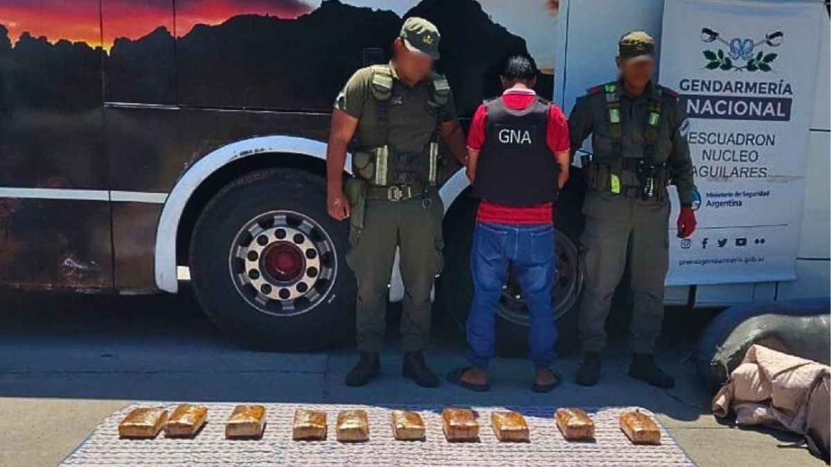 Venía hacia Mendoza con 31 kilos de marihuana envueltos en grasa y fue detenido por Gendarmería