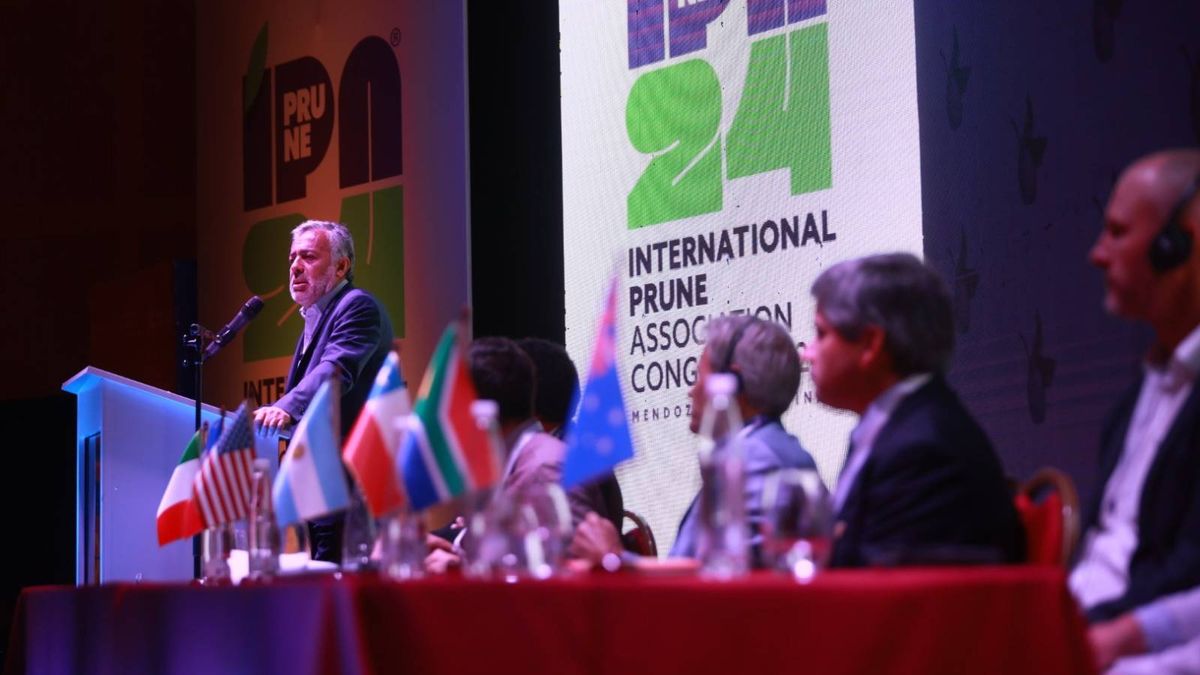 Alfredo Cornejo abrió en San Rafael el congreso internacional de la ciruela. Alfredo Cornejo abrió en San Rafael el congreso internacional de la ciruela.